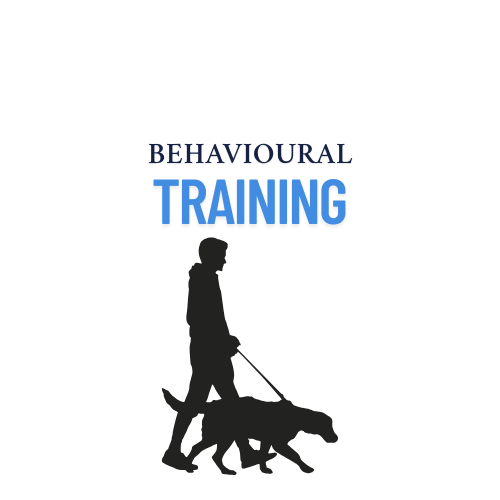 Training Session