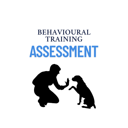 Behavioural Training Assessment