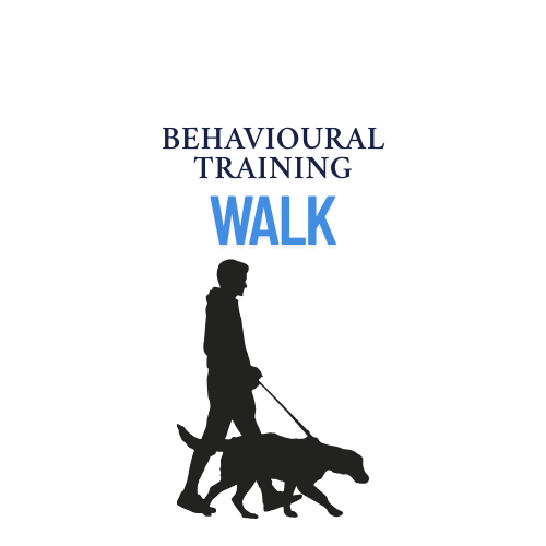 Training Walk