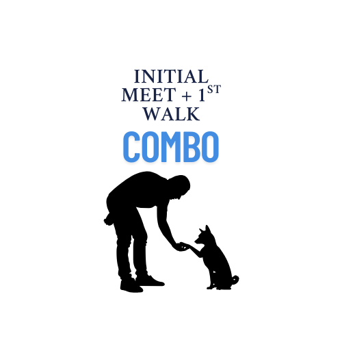First Walk + Initial Assessment Combo