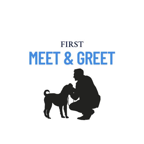 1ST Meet & Greet (30 minutes)