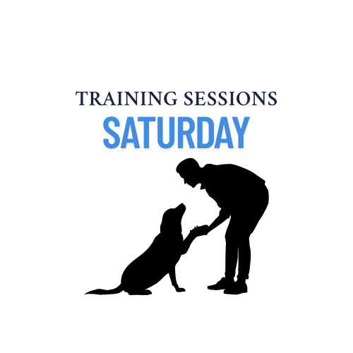 Saturday Sessions