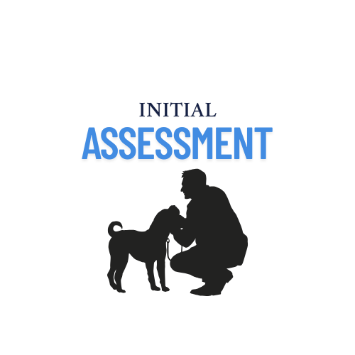 Initial Assessment (15 minutes)