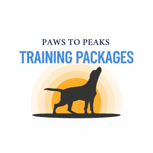 Training Packages